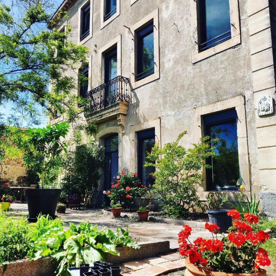 La Villa Du Chai Lézignan-Corbières Екстериор снимка